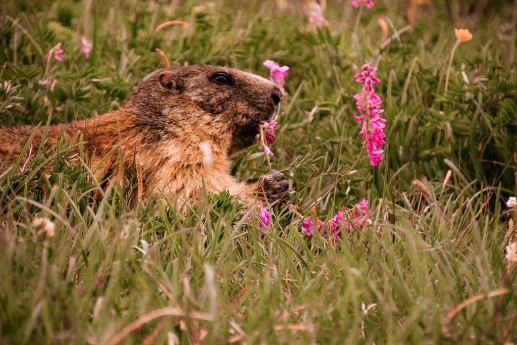Groundhog’s Day: A Reflection on Daily Routines and Spiritual&nbsp;Resilience